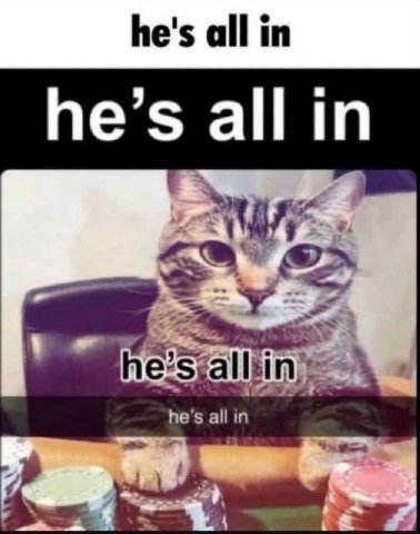 he's all in he’s he’s all in