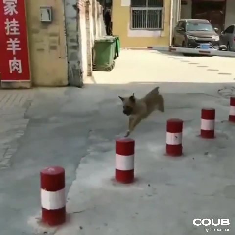 мем