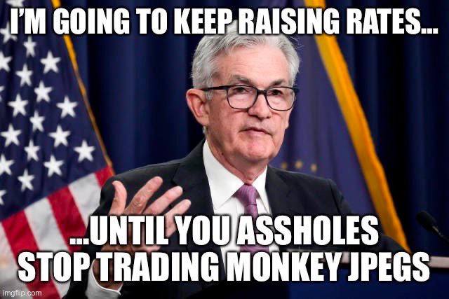 GOING TO RATES к к “UNTIL ASSHOLES MONKEY JPEGS