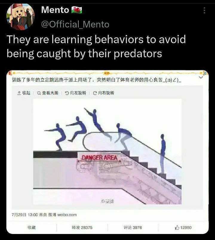 Mento &4 4 @Official Mento They are learning behaviors to avoid being caught their predators WAT DANGER AREA