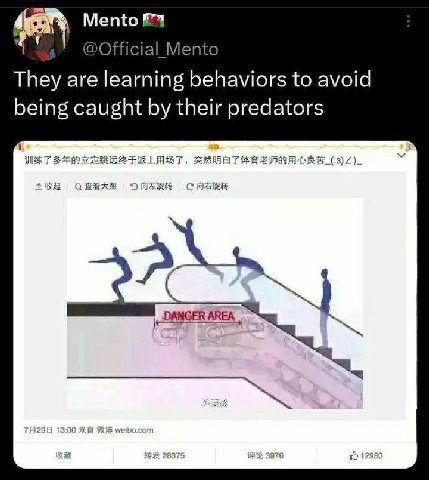 Mento &4 4 @Official Mento They are learning behaviors to avoid being caught their predators WAT DANGER AREA
