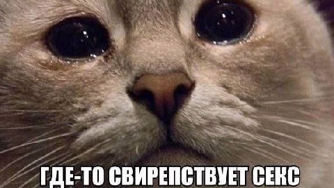 ГДЕ-ТО СВИРЕПСТВУЕТ СЕКС