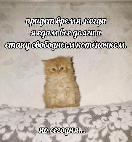 придет время, когда я все долги и котёночком я 4