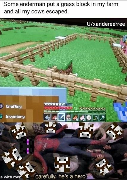 Some enderman put a grass block my farm and all my cows escaped $3 в к a тег. carefully, he’s а hero