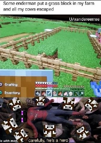 Some enderman put a grass block my farm and all my cows escaped $3 в к a тег. carefully, he’s а hero