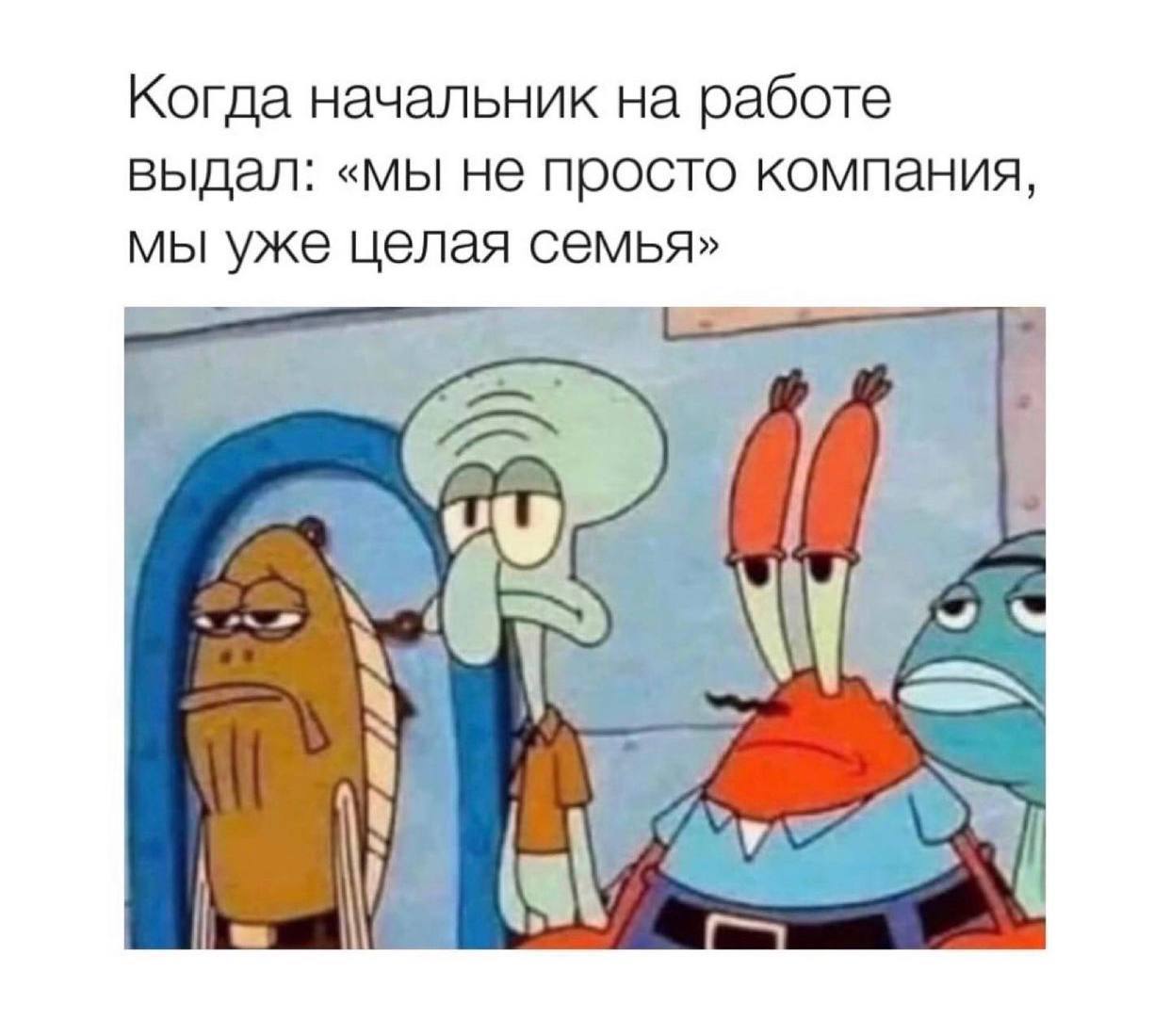 Когда начальник на работе выдал: «мы не просто компания мы уже целая семья» WE