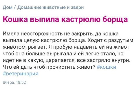 Дом Домашние животные и звери Кошка выпила кастрюлю борща Имела неосторожность не закрыть, да кошка выпила целую кастрюлю борща. Ходит с раздутым животом, рыгает. Я пробую надавить на живот чтоб она б