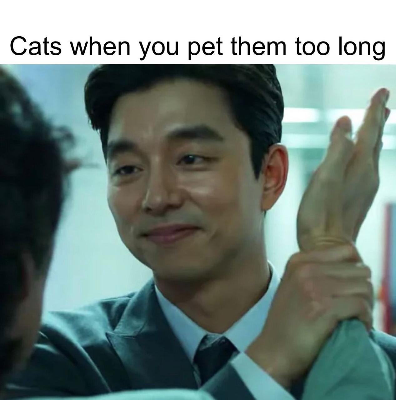 Cats when you pet them too long