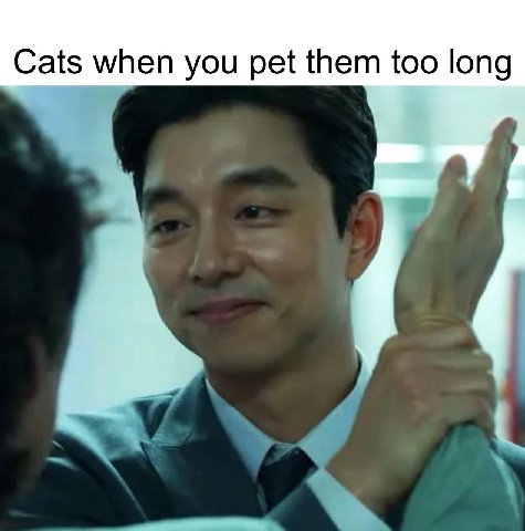 Cats when you pet them too long