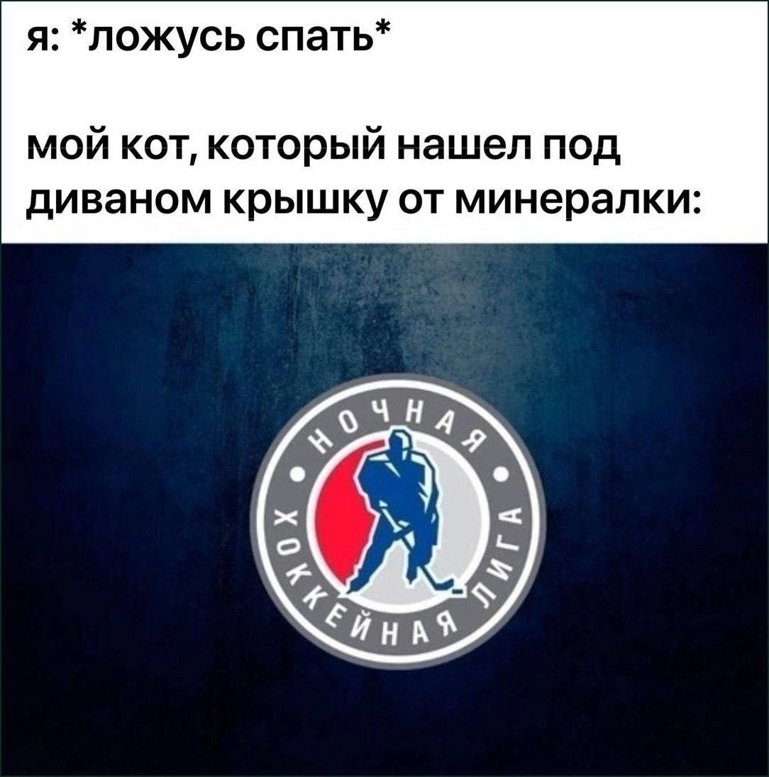 я: *ложусь спать* мой кот, который нашел под диваном крышку от минералки: