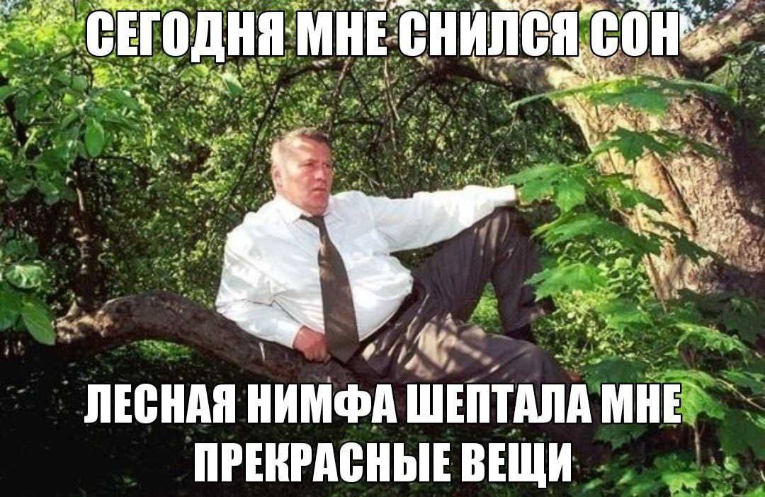 aye СЕГОДНЯ MHE wat 3 ЛЕСНАЯ НИМФА WENTANA МНЕ ПРЕКРАСНЫЕ ВЕЩИ