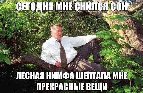 aye СЕГОДНЯ MHE wat 3 ЛЕСНАЯ НИМФА WENTANA МНЕ ПРЕКРАСНЫЕ ВЕЩИ
