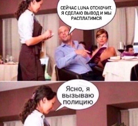 9 СЕЙЧАС LUNA ОТСКОЧИТ, Я СДЕЛАЮ ВЫВОД И МЫ РАСПЛАТИМСЯ у Ясно, A вызываю полицию a
