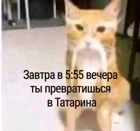 Завтра в 5:55 вечера ты превратишься в Татарина