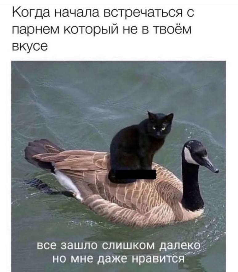 Когда начала встречаться с парнем который не в твоём вкусе все зашло слишком далеко но мне даже нравится