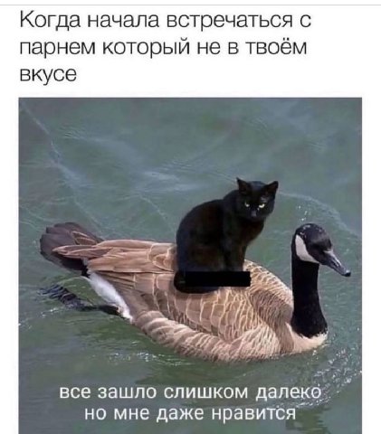 Когда начала встречаться с парнем который не в твоём вкусе все зашло слишком далеко но мне даже нравится