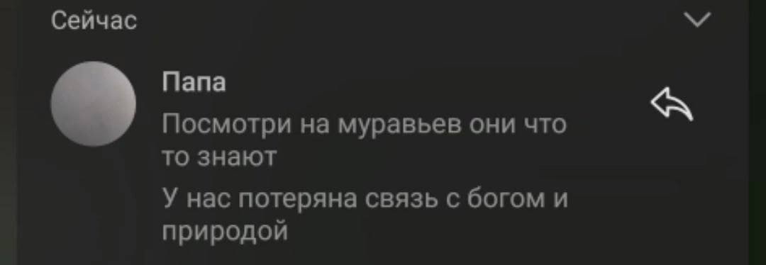 Сейчас Папа A Посмотри на муравьев они что то знают У нас потеряна связь с богом и природой