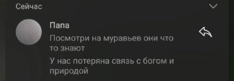 Сейчас Папа A Посмотри на муравьев они что то знают У нас потеряна связь с богом и природой