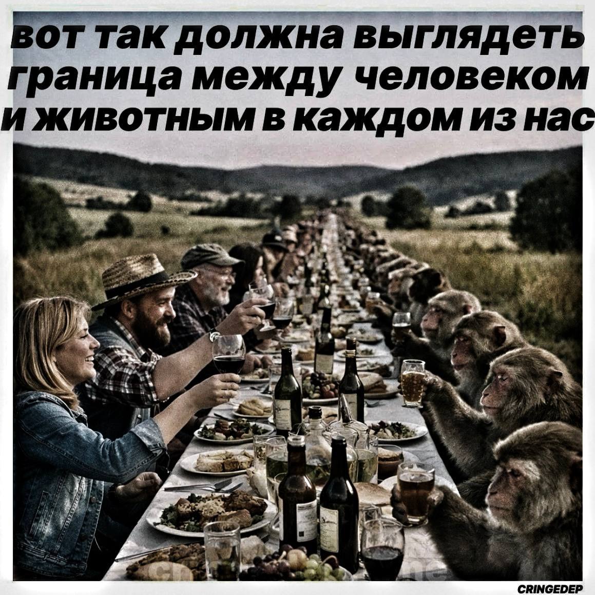 Вот так должна выглядеть граница между человеком и животным В каждом day