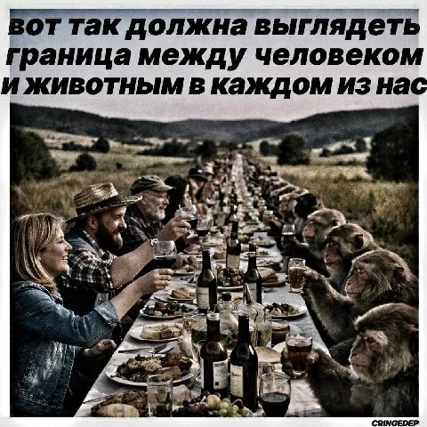 Вот так должна выглядеть граница между человеком и животным В каждом day