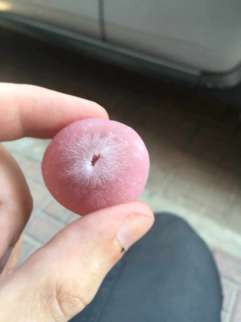japanese candy that looks, feels and tastes like anus