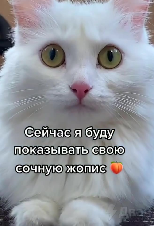 Сейчас1ябуду показывать; свою сочную)жопис ат Почемутьцемотришь © сестраи!дочьх | ‚ мВедыячья-то ‘сестрами! дочь