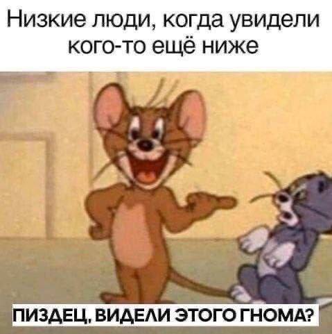 Низкие люди, когда увидели кого-то ещё ниже ПИЗДЕЦ, ВИДЕЛИ этого ГНОМА?