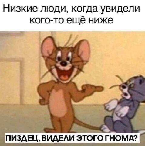 Низкие люди, когда увидели кого-то ещё ниже ПИЗДЕЦ, ВИДЕЛИ этого ГНОМА?