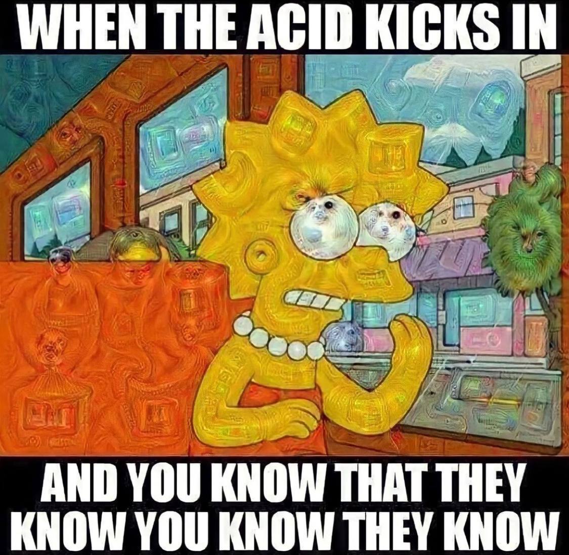 WHEN THE ACID KICKS IN у We AND YOU KNOW THAT THEY KNOW YOU KNOW THEY KNOW