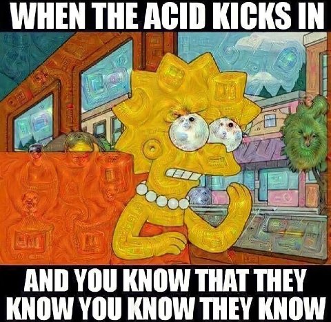 WHEN THE ACID KICKS IN у We AND YOU KNOW THAT THEY KNOW YOU KNOW THEY KNOW