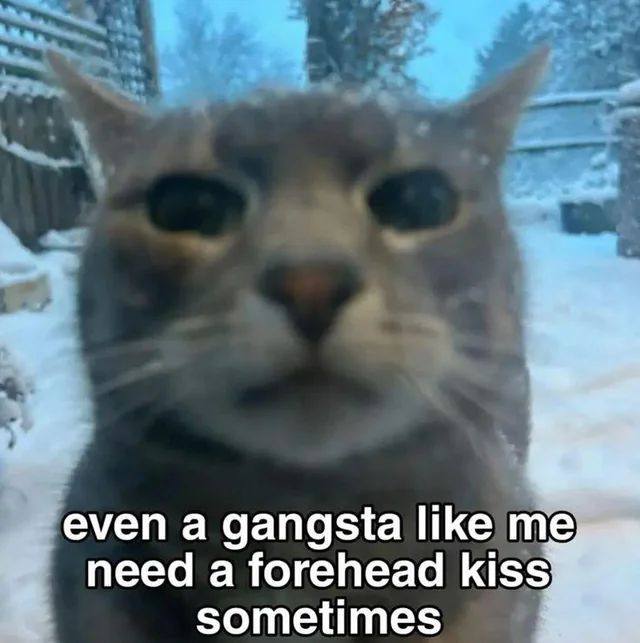 even a gangsta like need a forehead kiss sometimes