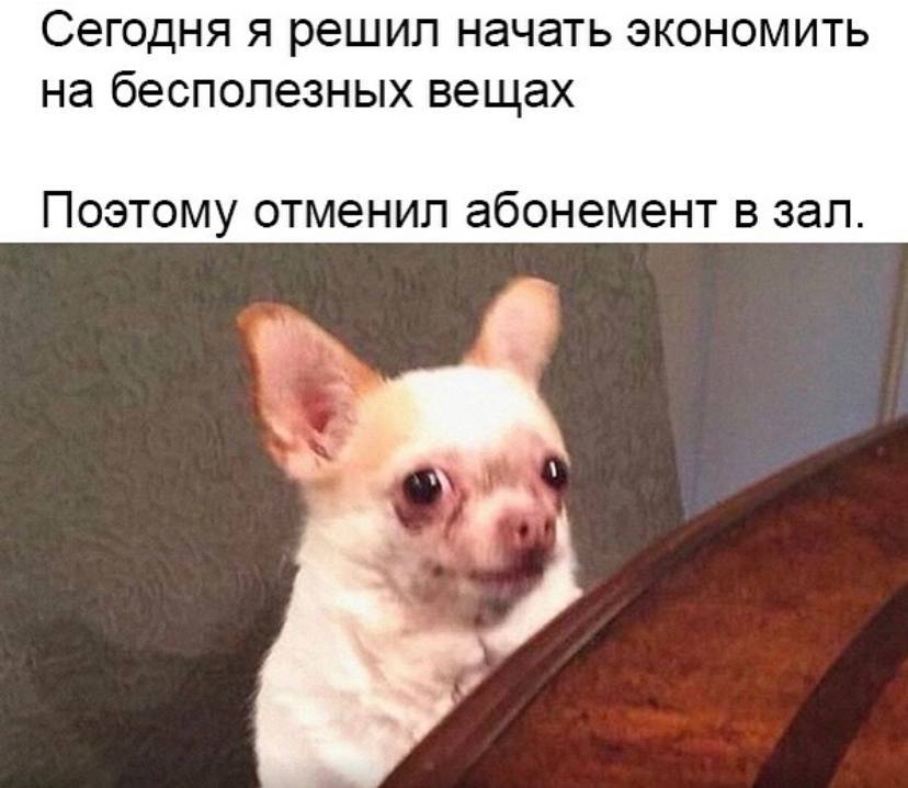 Сегодня я решил начать экономить на бесполезных вещах Поэтому отменил абонемент в зал.