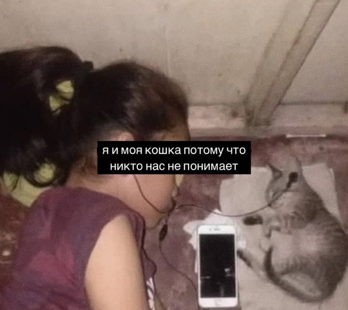 моя кошка потому что никто нас не понимает