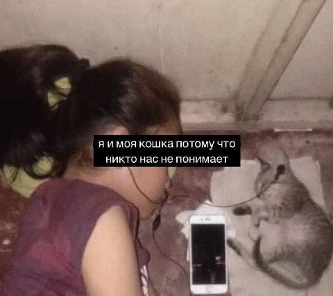 моя кошка потому что никто нас не понимает
