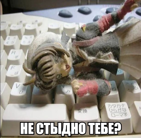 у. HINT НЕСТЫДНО TEBE?