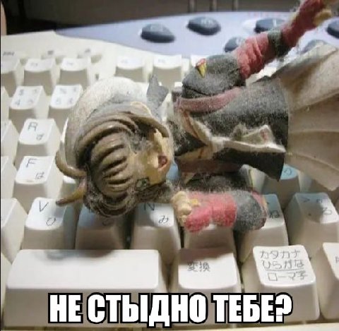 у. HINT НЕСТЫДНО TEBE?