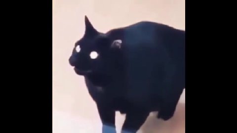 мем