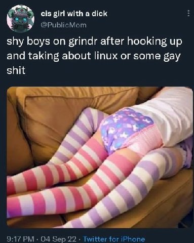 cis girl with a dick @PublicMom shy boys on grindr after hooking up and taking about linux or some gay shit 9:17 04 Sep 22 Twitter for iPhone