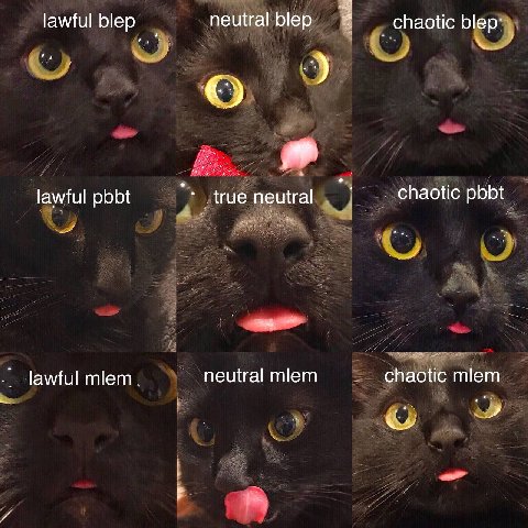 lawful Мер пешга! Мер chaotic Шер: lawful pbbt chaotic pbbt true neutral и -lawful mlem neutral mlem chaotic miem