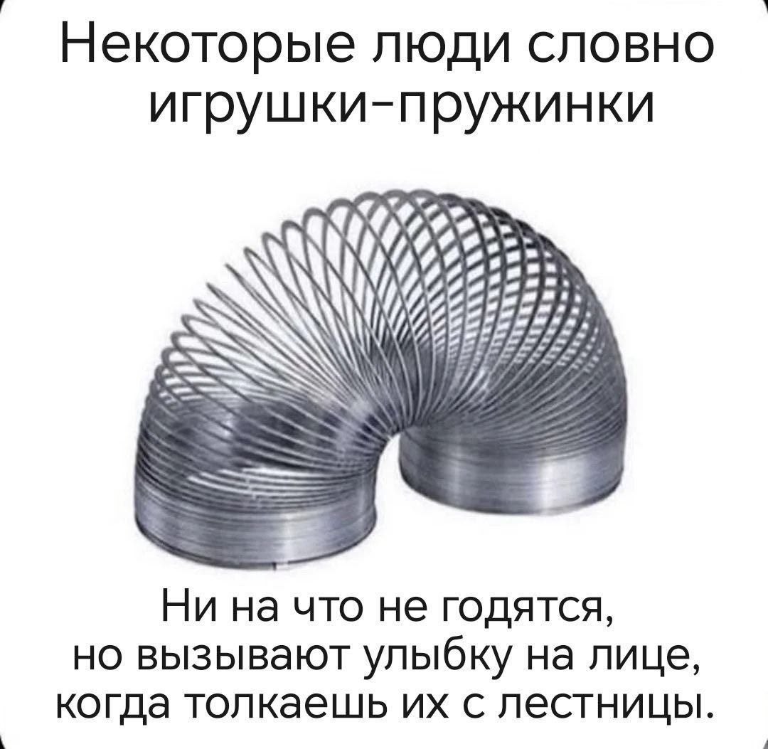 Некоторые люди словно игрушки-пружинки Ни на что не ГОДЯТСЯ, но вызывают улыбку на лице, когда толкаешь с лестницы.