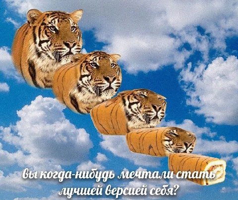 we 1 won Be. вы когда-нидудь версией себя
