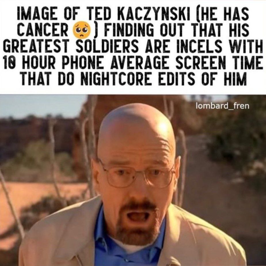 IMAGE OF TED KACZYNSKI (HE HAS CANCER FINDING OUT THAT HIS GREATEST SOLDIERS ARE INCELS WITH 18 HOUR PHONE AVERAGE SCREEN TIME THAT NIGHTCORE EDITS OF HIM lombard_fren