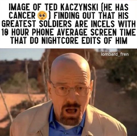 IMAGE OF TED KACZYNSKI (HE HAS CANCER FINDING OUT THAT HIS GREATEST SOLDIERS ARE INCELS WITH 18 HOUR PHONE AVERAGE SCREEN TIME THAT NIGHTCORE EDITS OF HIM lombard_fren
