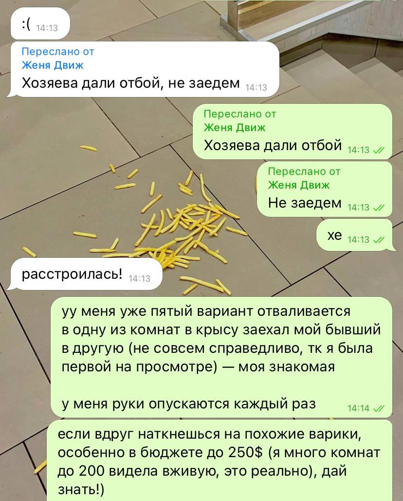 помидоры помидоры помидоры помидоры