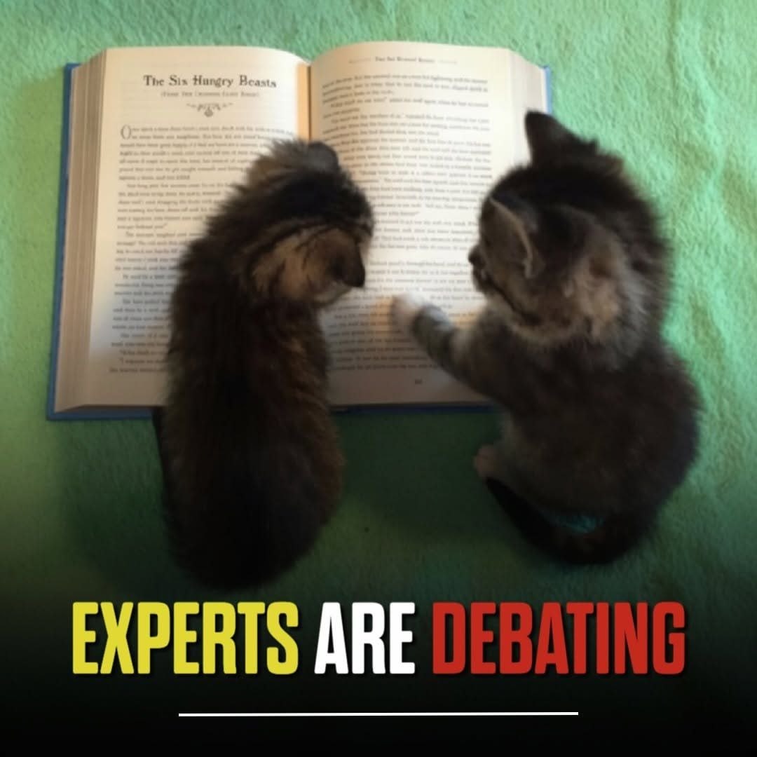 EXPERTS ARE