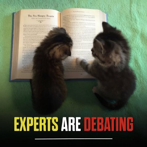 EXPERTS ARE