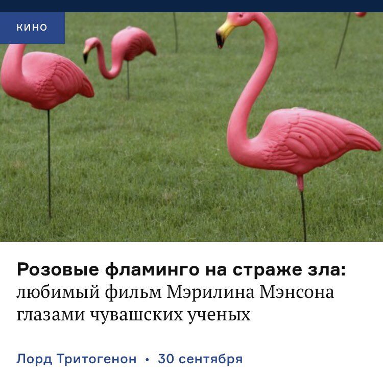 кино 4 Розовые фламинго на страже зла: любимый фильм Мэрилина Мэнсона глазами чувашских ученых Лорд Тритогенон 30 сентября
