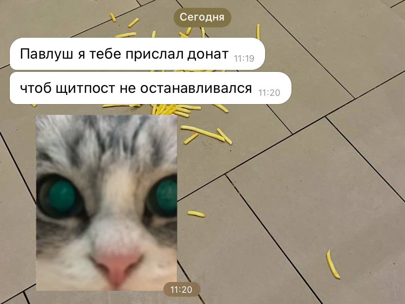 школа благородных подписчиков