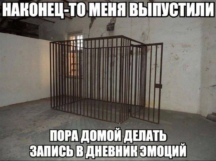 НАКОНЕЦ-ТО МЕНЯ ВЫПУСТИЛИ ПОРА ДОМОЙ ДЕЛАТЬ ЗАПИСЬ В ДНЕВНИК ЭМОЦИЙ