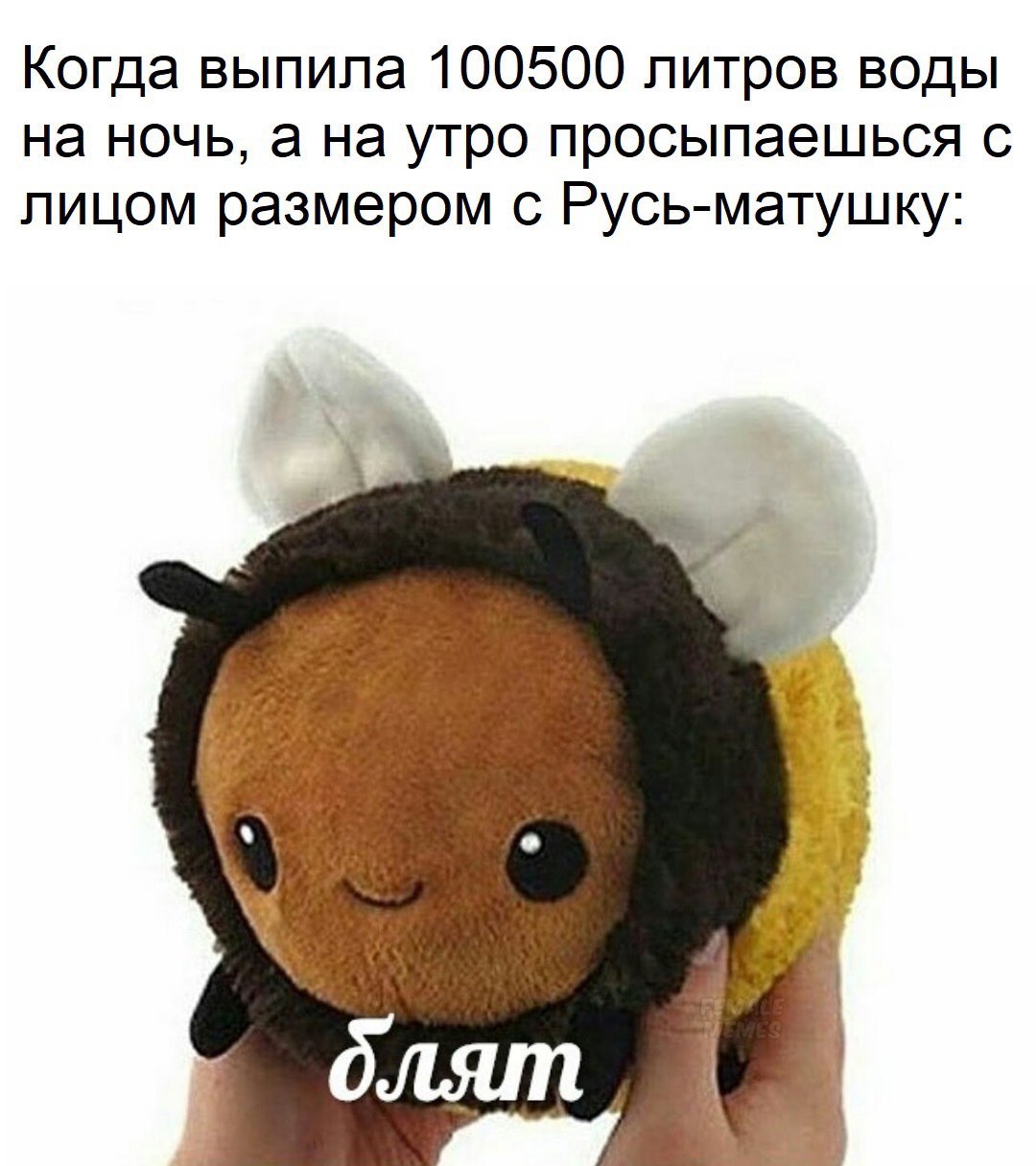 Когда выпила 100500 литров воды на ночь, а на утро просыпаешься с лицом размером с Русь-матушку: о болят,